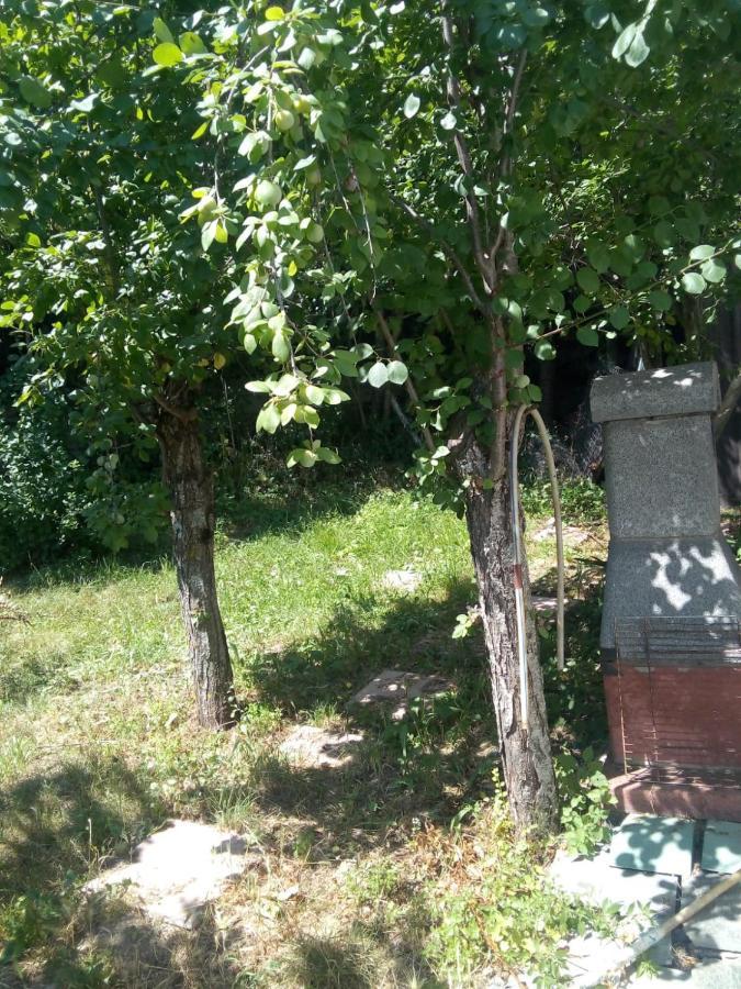 Montagna&Mare Calabria B&B Rent Ebike E Bed Motorbike Colosimi Екстер'єр фото