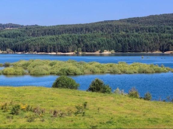 Montagna&Mare Calabria B&B Rent Ebike E Bed Motorbike Colosimi Екстер'єр фото